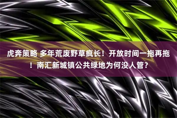 虎奔策略 多年荒废野草疯长！开放时间一拖再拖！南汇新城镇公共绿地为何没人管？