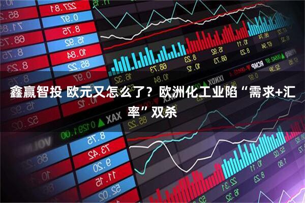 鑫赢智投 欧元又怎么了？欧洲化工业陷“需求+汇率”双杀