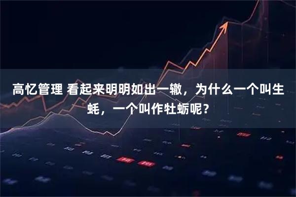 高忆管理 看起来明明如出一辙，为什么一个叫生蚝，一个叫作牡蛎呢？